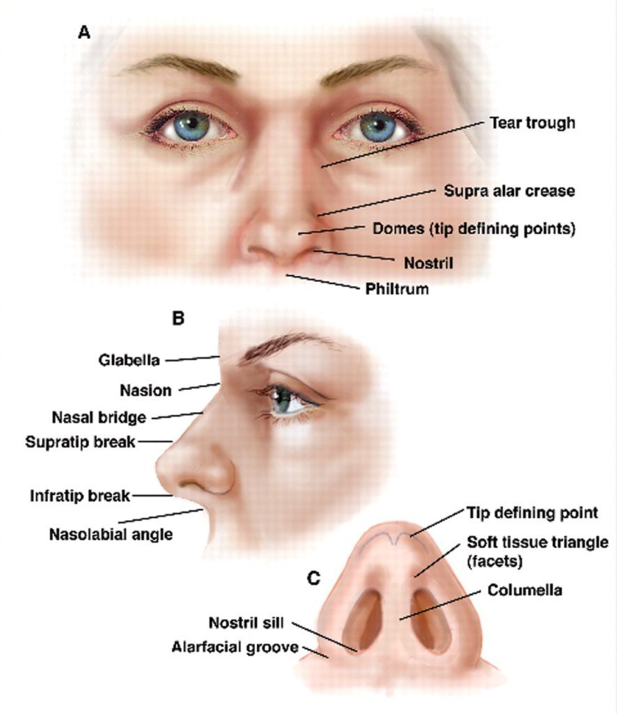 human-nose-surgery